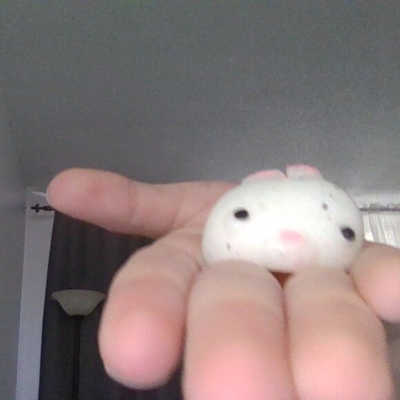 sofe - Picture 15 of 17